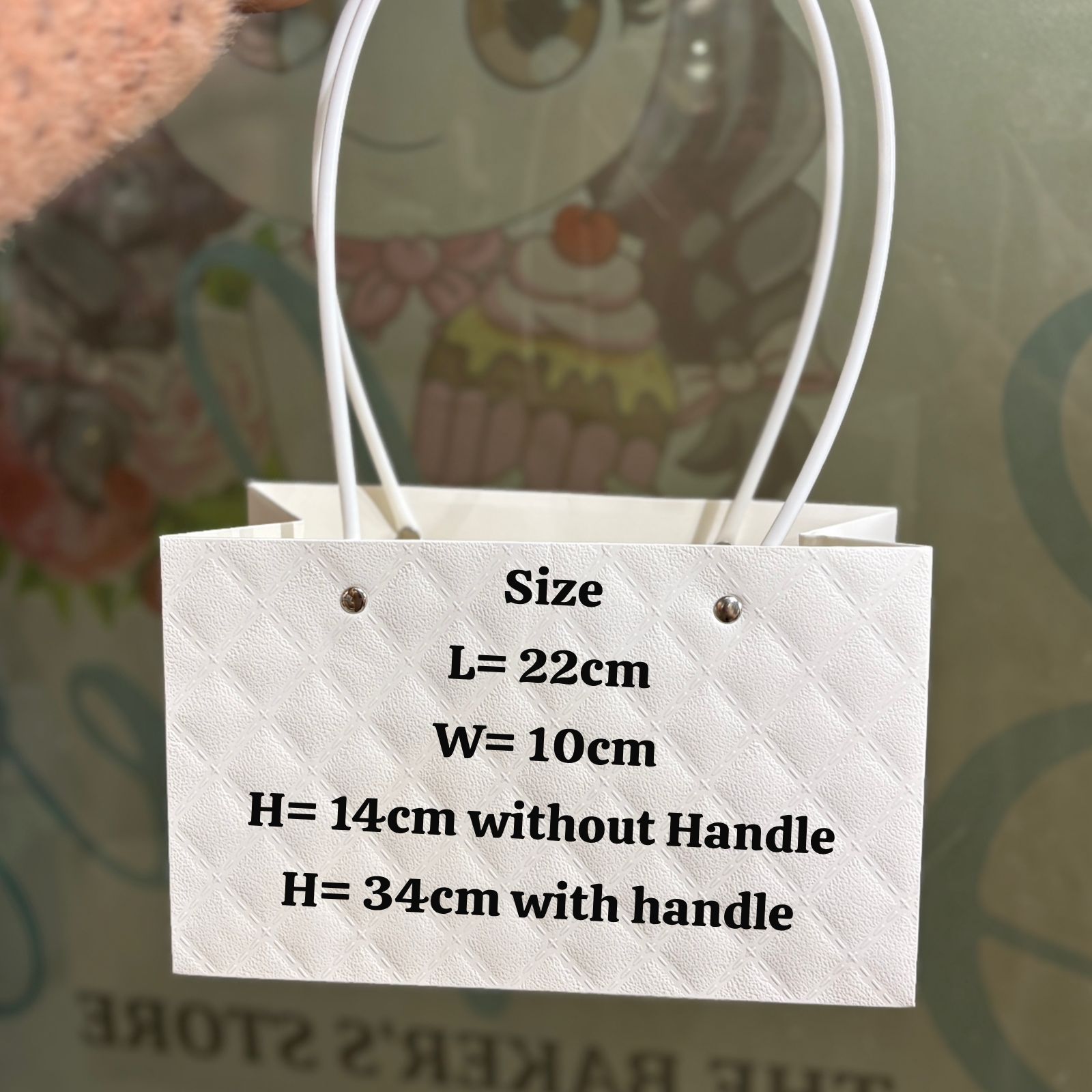 WhatsApp Image 2026-01-13 at 5.34.41 PM